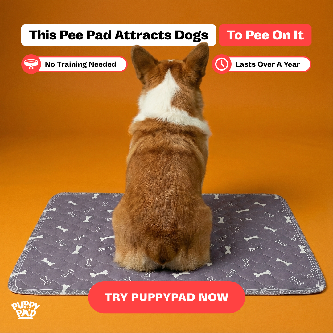 PuppyPad Facebook ad