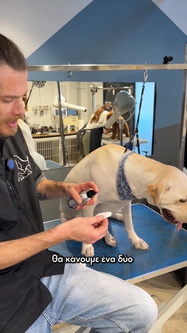 Top Dog Natural Pet Products Facebook ad: Καθαρίζεις τα αυτιά του κατοικιδίου σου