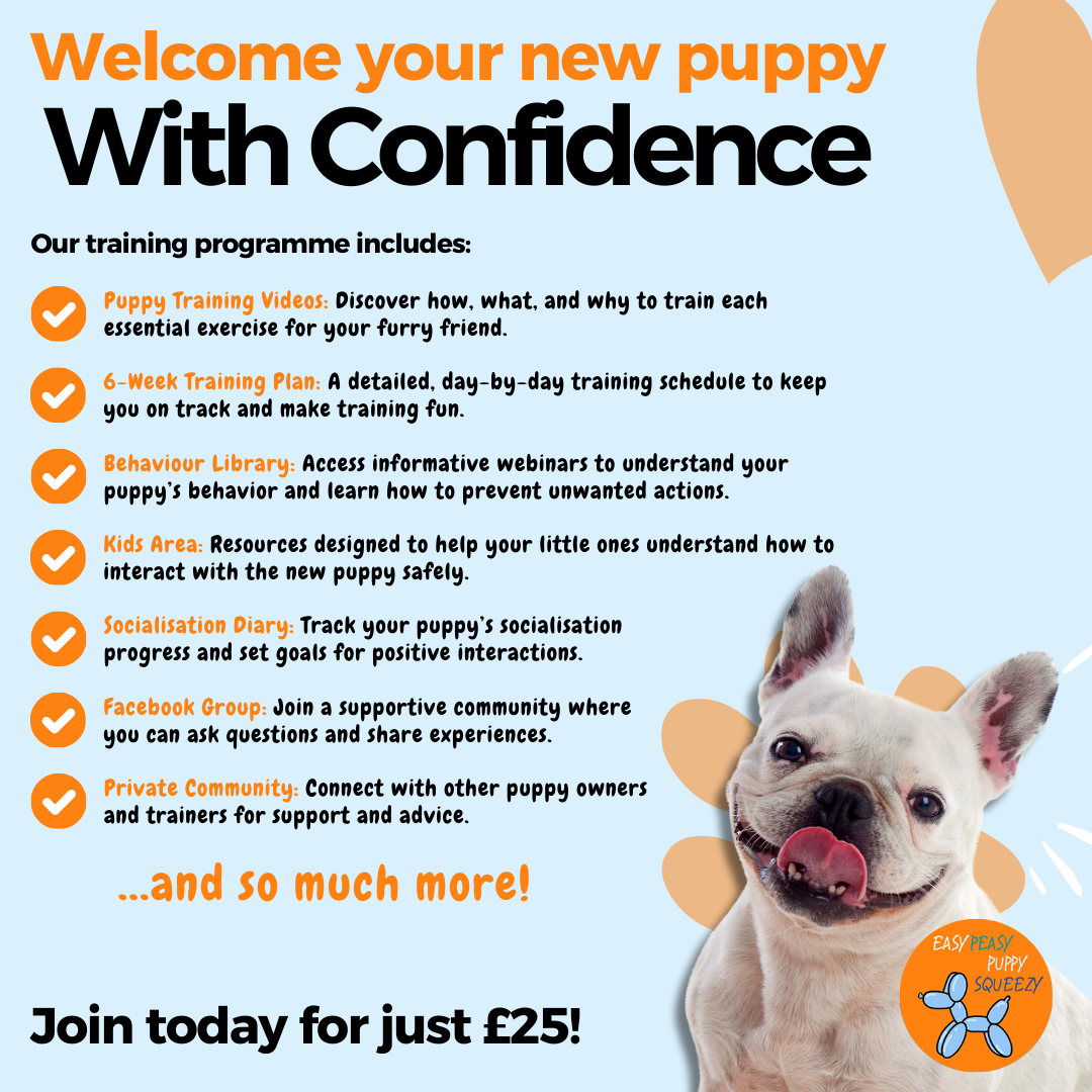 Easy Peasy Puppy Training  Facebook ad