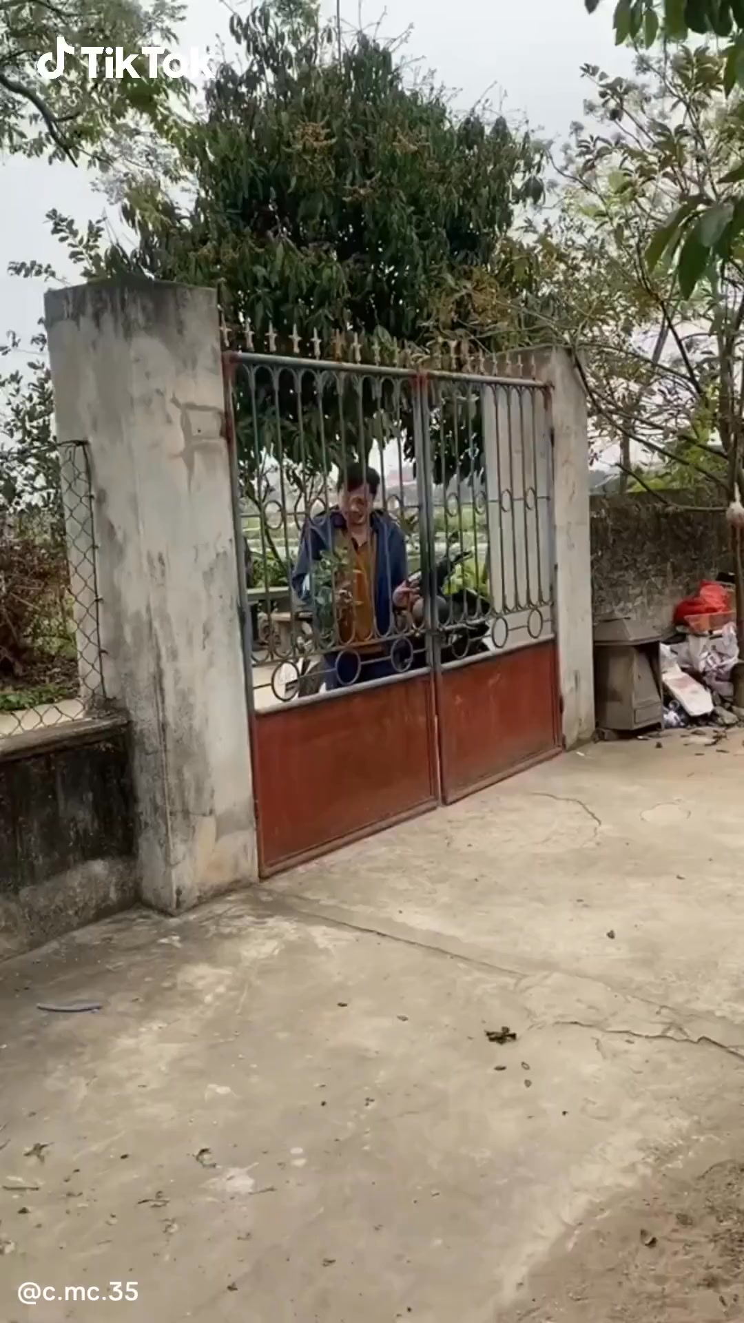 TikTok Global Facebook ad: Bộ truyện lãng mạn trên TikTok