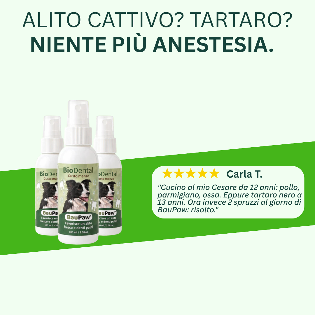 Amici a 4 Zampe Facebook ad: 5 secondi al giorno. Niente più detartrasi.