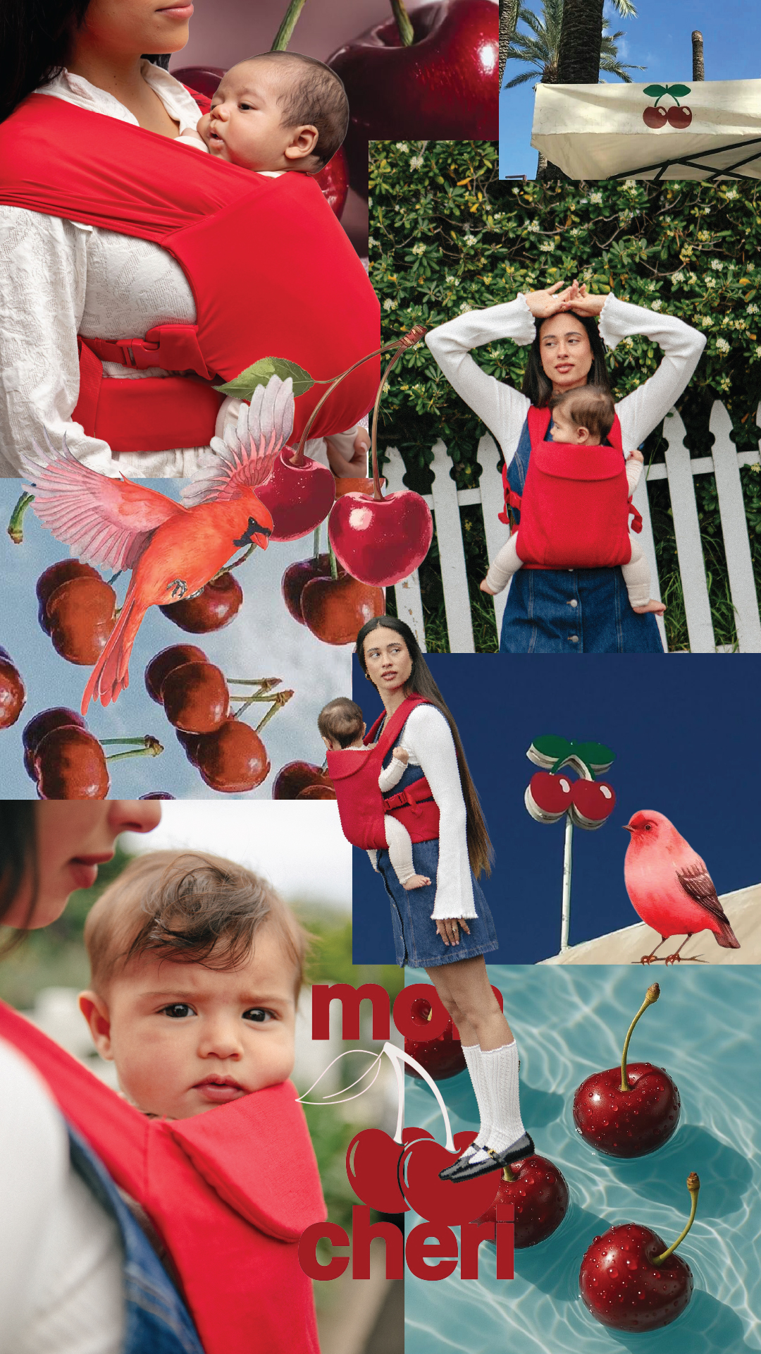 WildBird Facebook ad