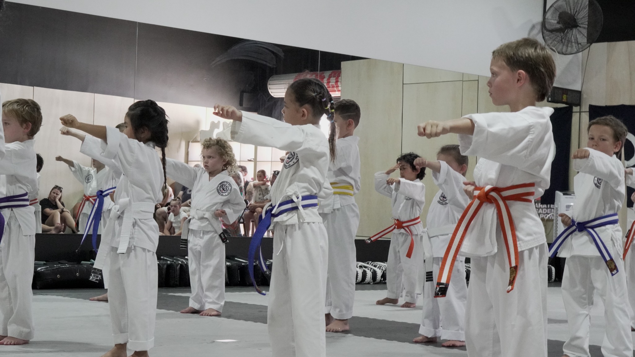 Karate Academy of Power - Hayashiha Queensland Facebook ad