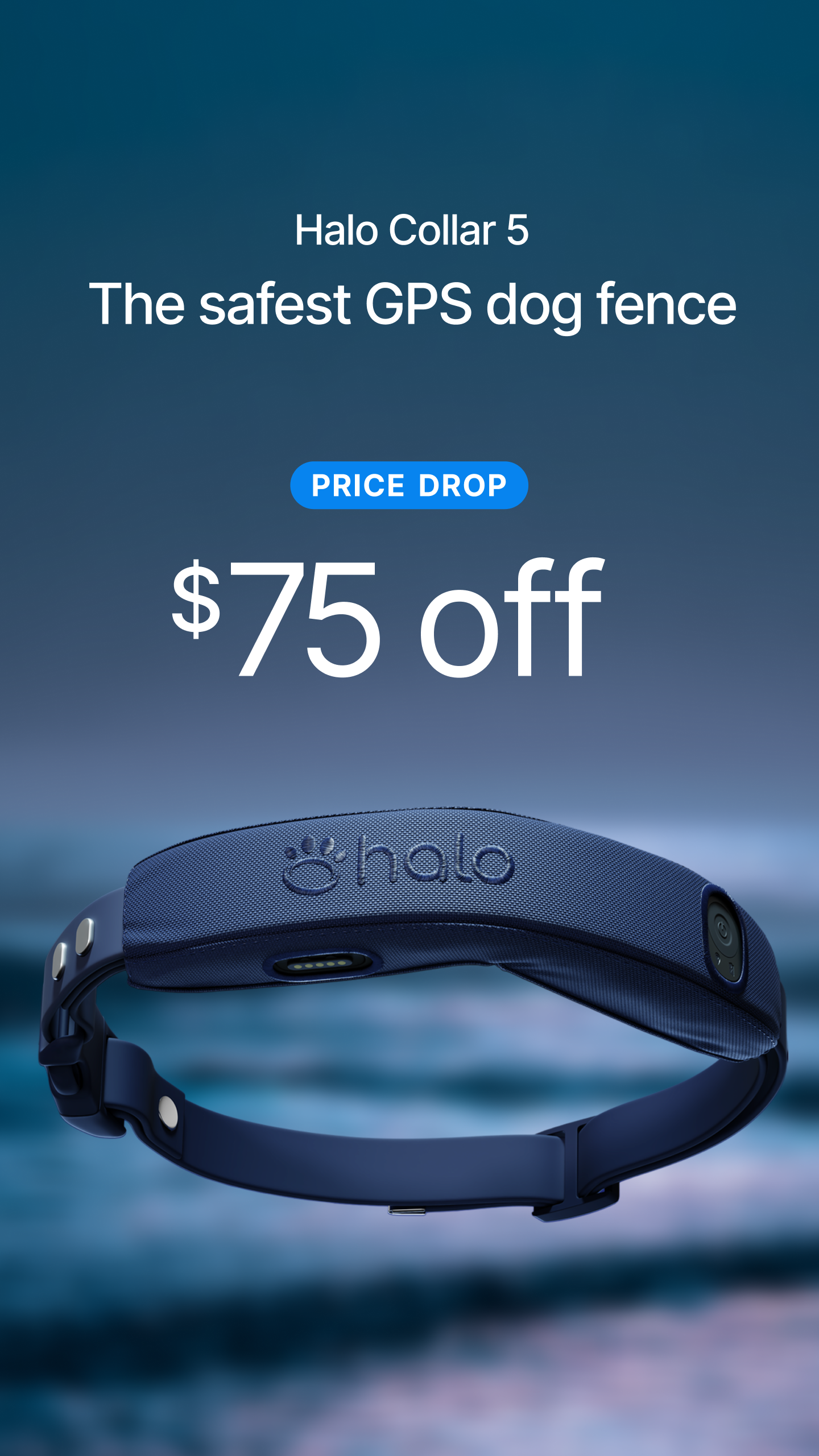 Halo Collar Facebook ad