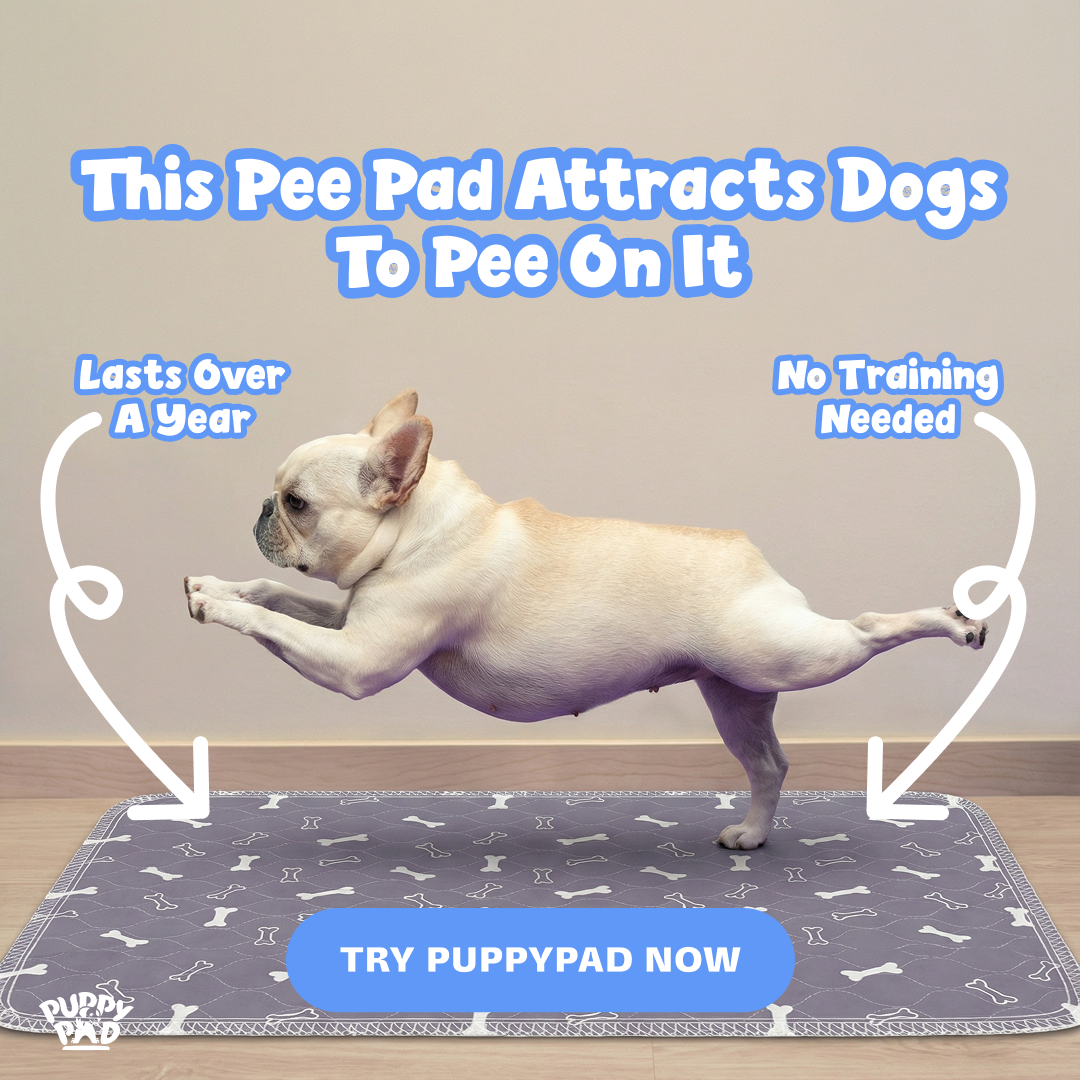 PuppyPad Facebook ad
