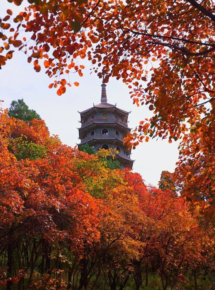 Jinan of China Facebook ad: Jinan, the vibrant capital of Shandong province, is…