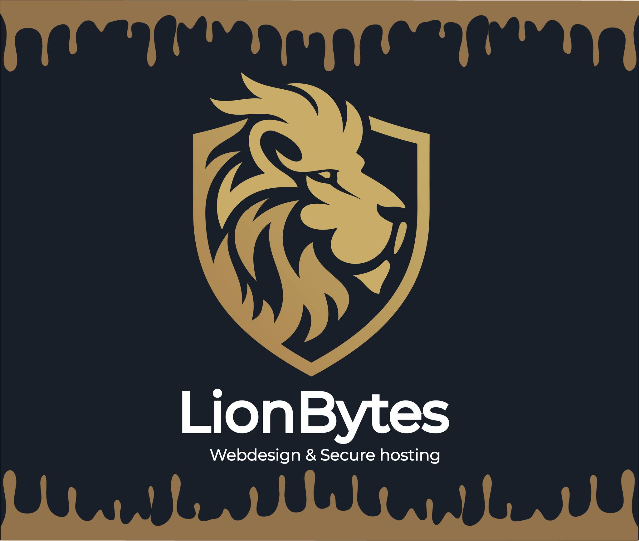 LionBytes Facebook ad: Voordelige en unieke websites op maat.