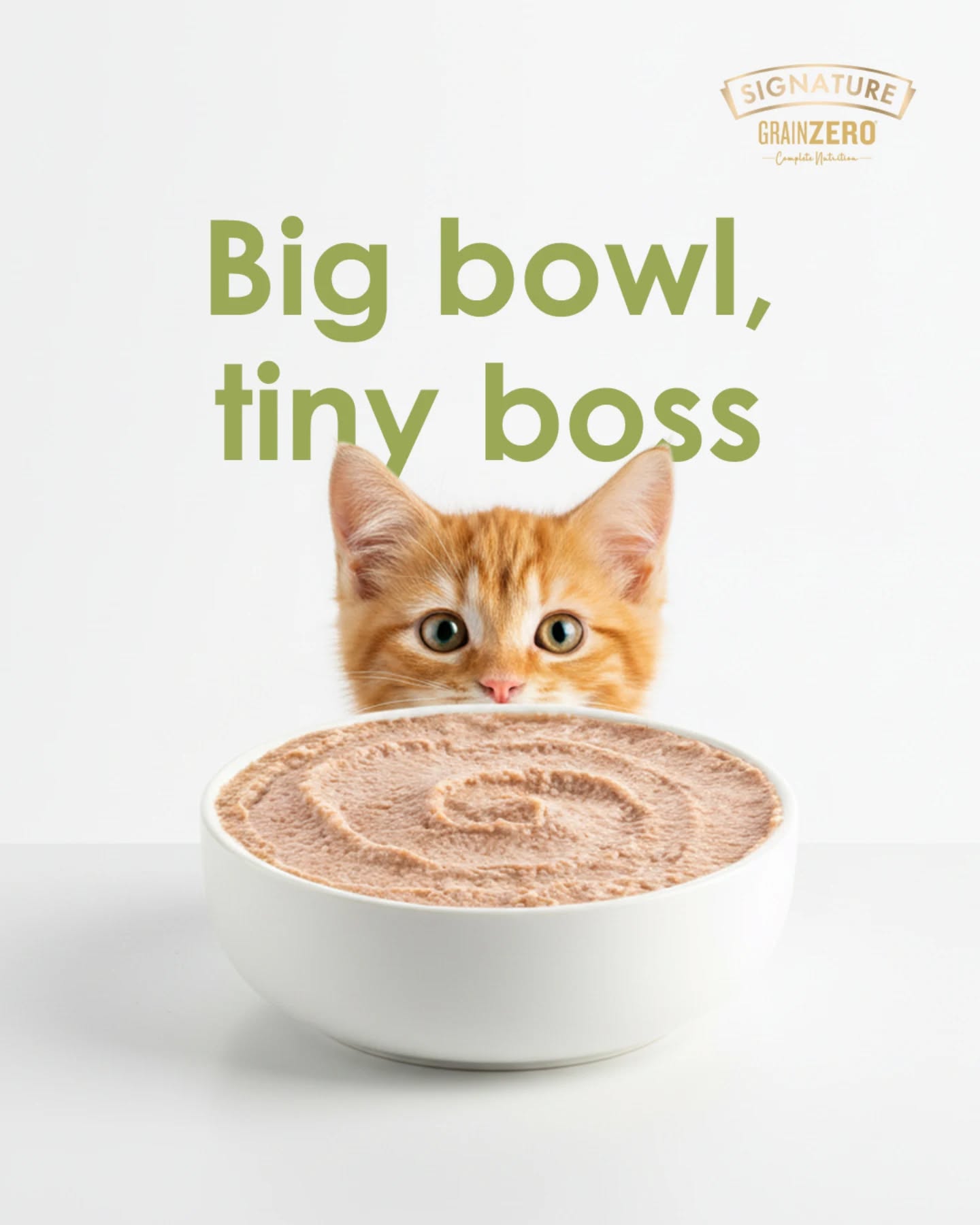 Signature Pet Foods Facebook ad: From curious paws to confident meows, growing kittens…