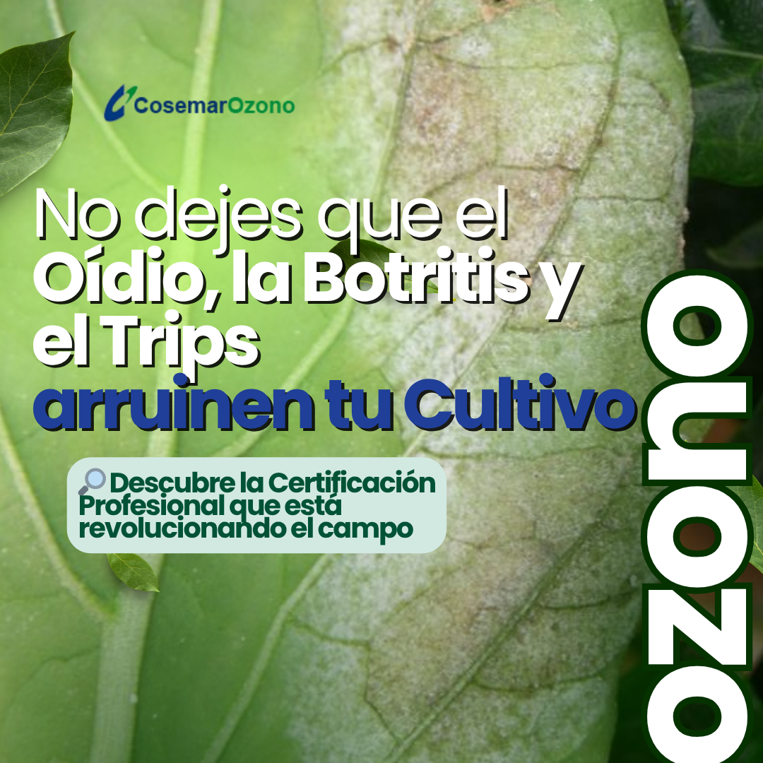 Cosemar Ozono Facebook ad: Descubre ahora la Certificación Profesional en Agricultura…