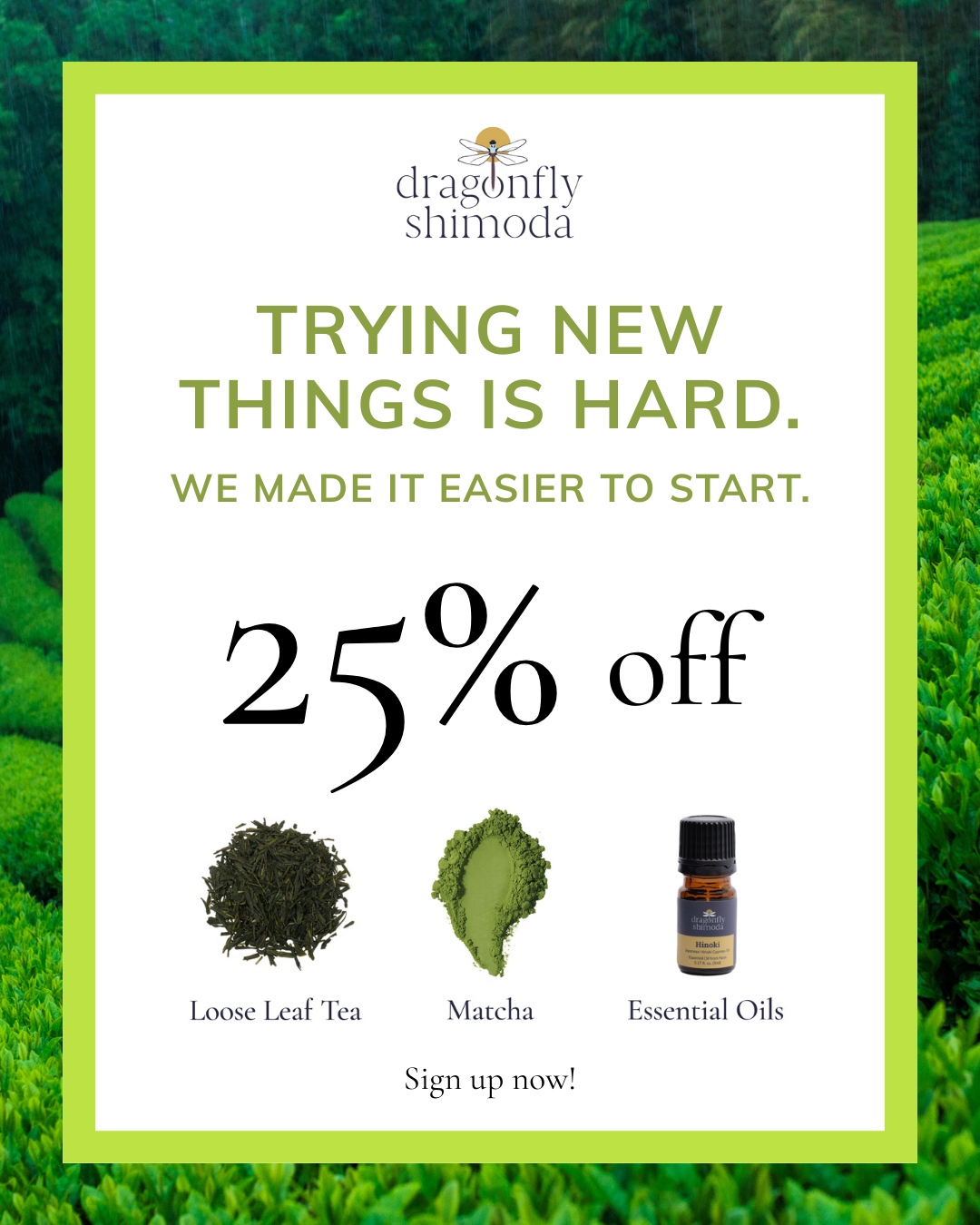Dragonfly Shimoda Facebook ad: Get 25% Off Your First Order