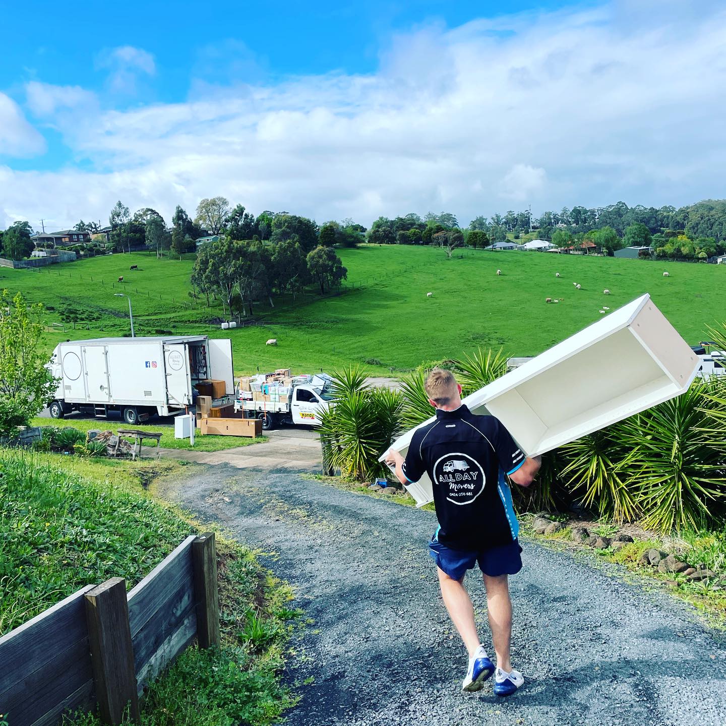 All Day Movers Facebook ad