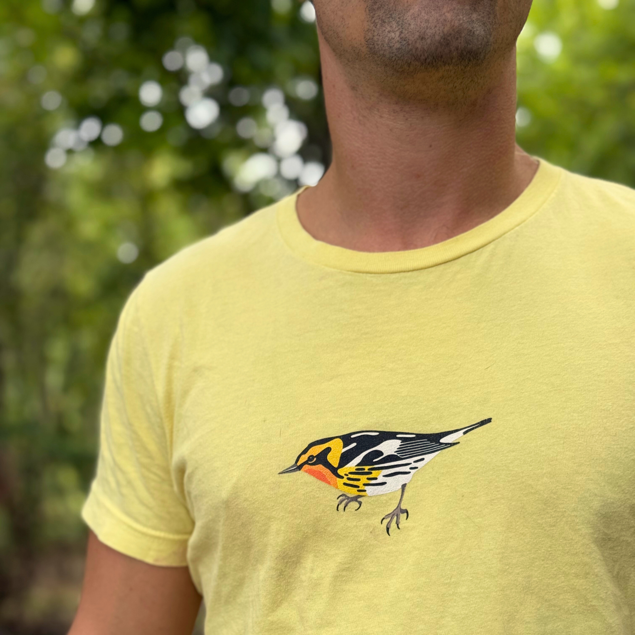 Colorflock Facebook ad: Colorflock - High Quality Bird Goods