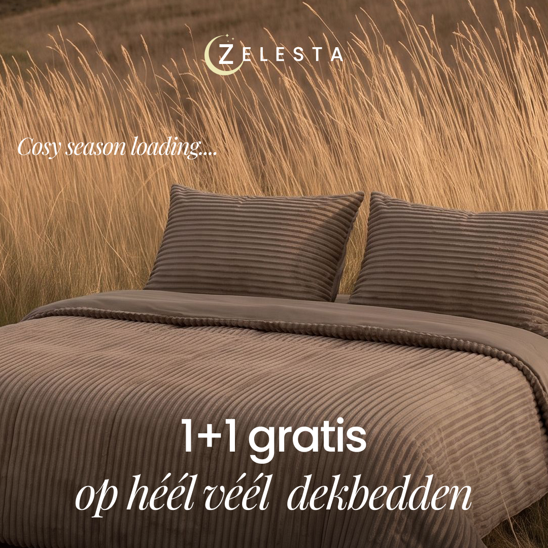 Zelesta.nl Facebook ad