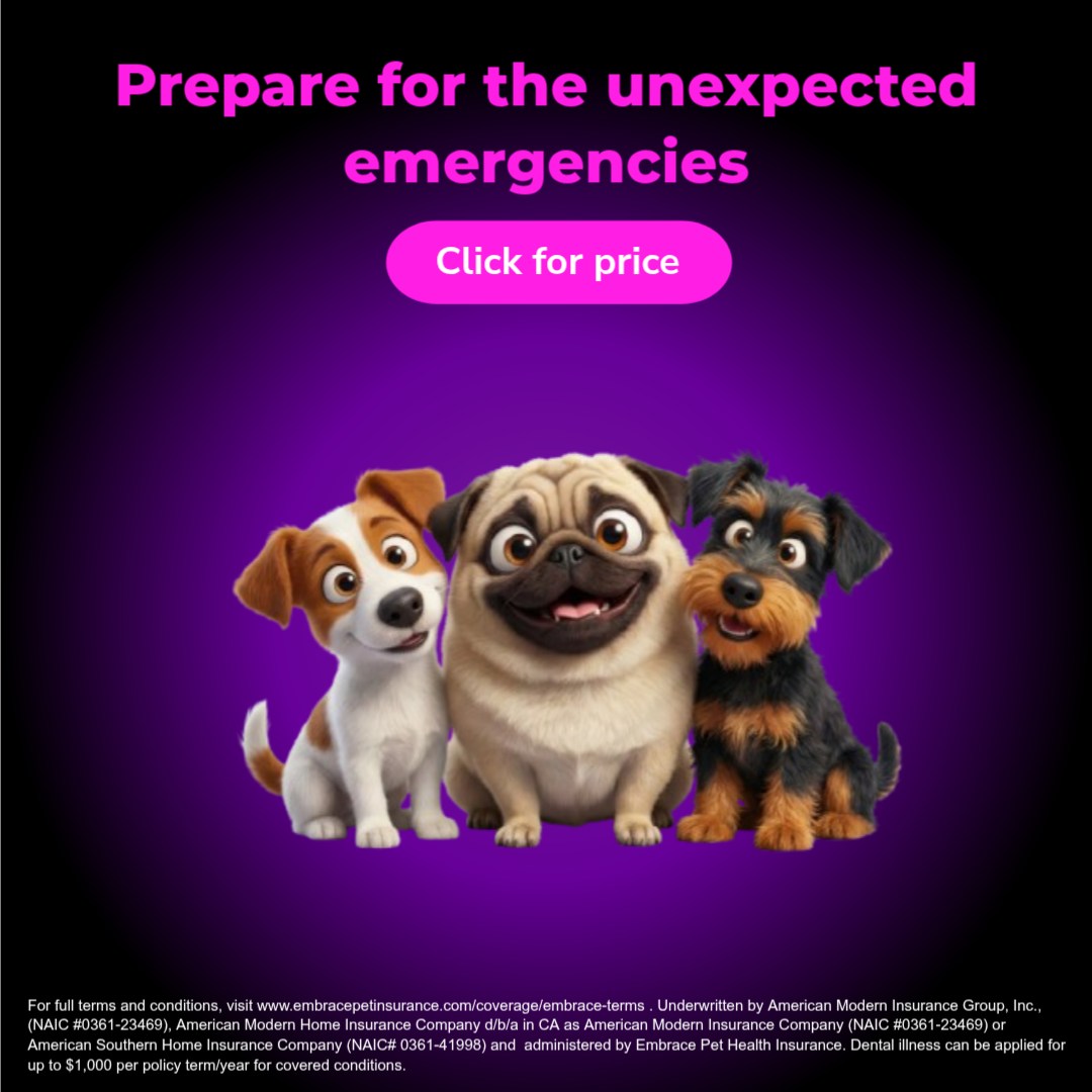 Embrace Pet Insurance Facebook ad