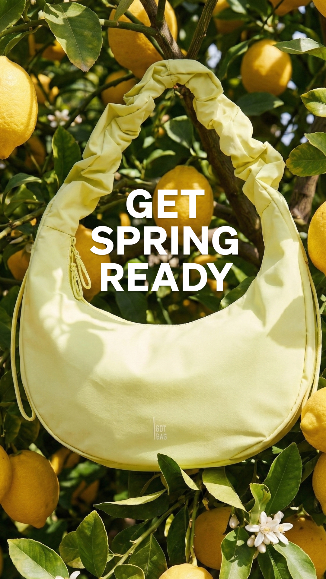 GOT BAG Facebook ad