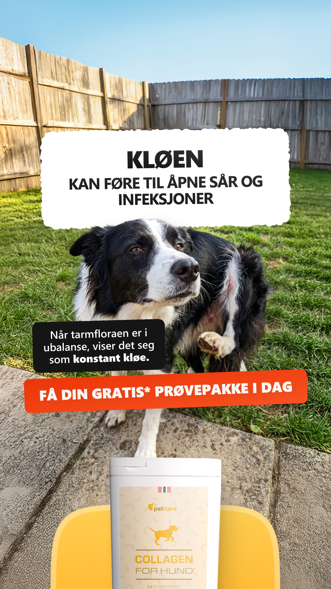 Collagen for hund Facebook ad: Prøv Collagen For Hund gratis!