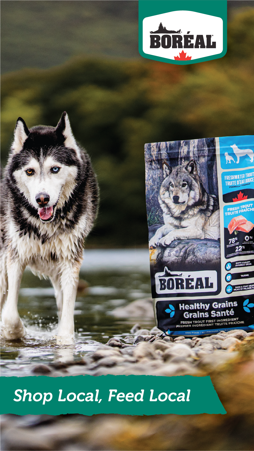 Boréal Pet Food Facebook ad
