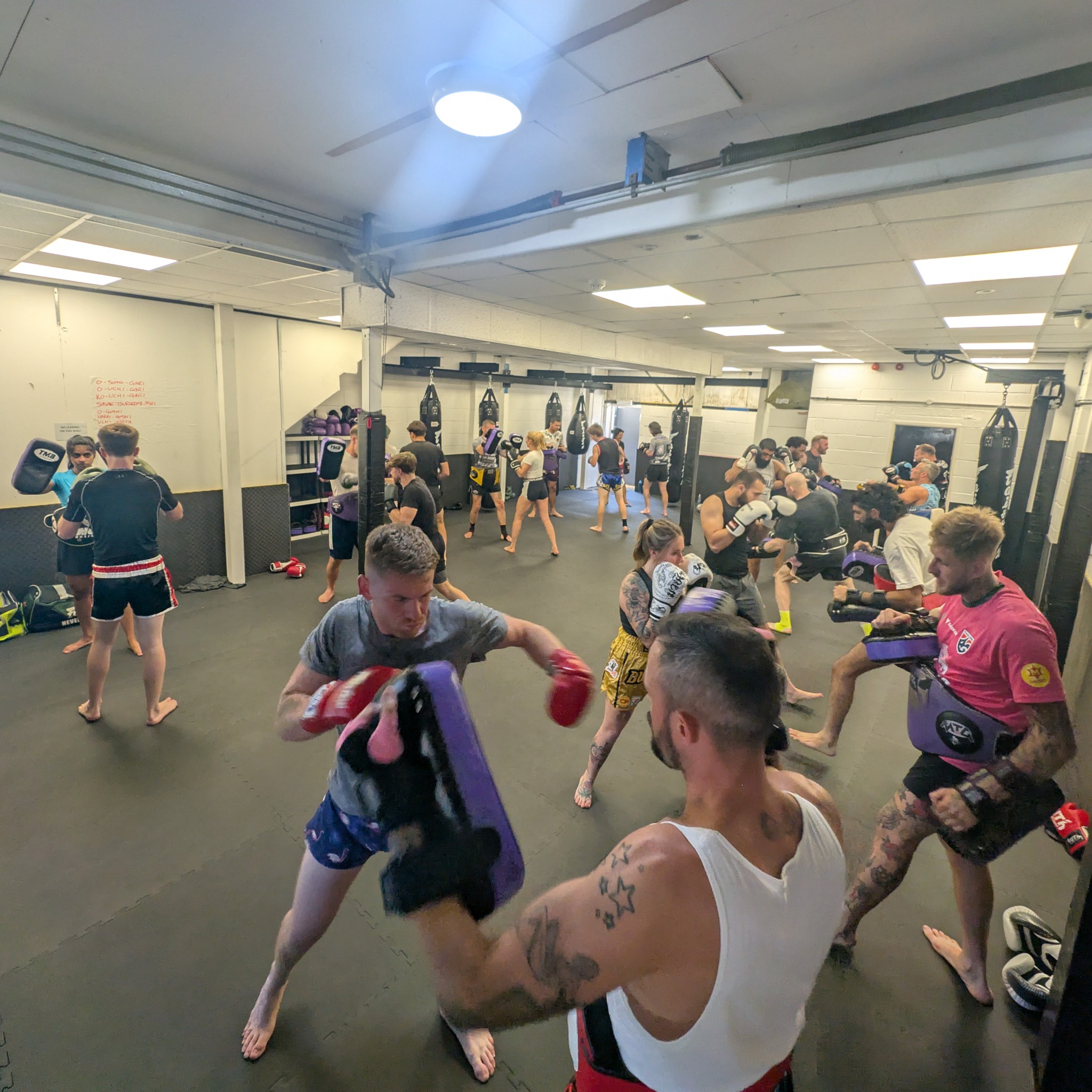 Minotaur Thaiboxing Gym Facebook ad: Thai-boxing is our lifeblood-we wear it on our…