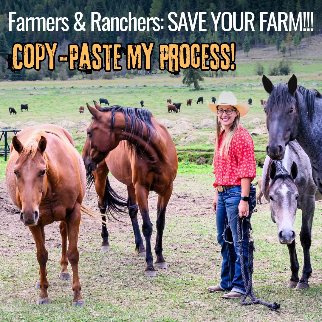 Sell Beef Direct Facebook ad