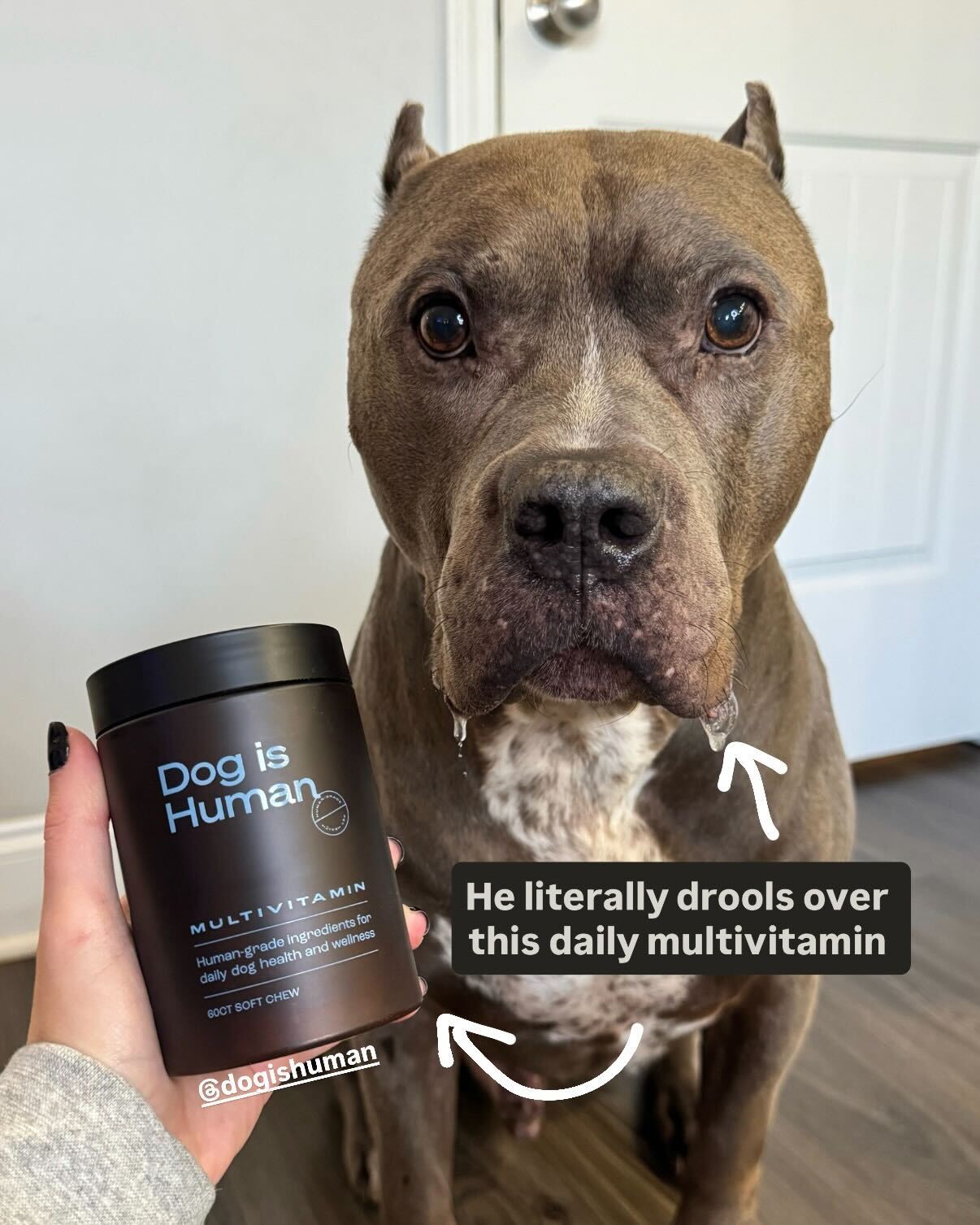 My Dogs Dope Facebook ad from Feb 13, 2026