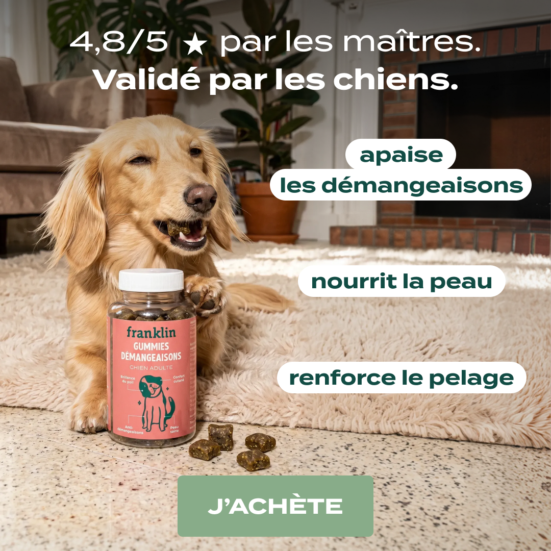 Franklin Pet Food Facebook ad