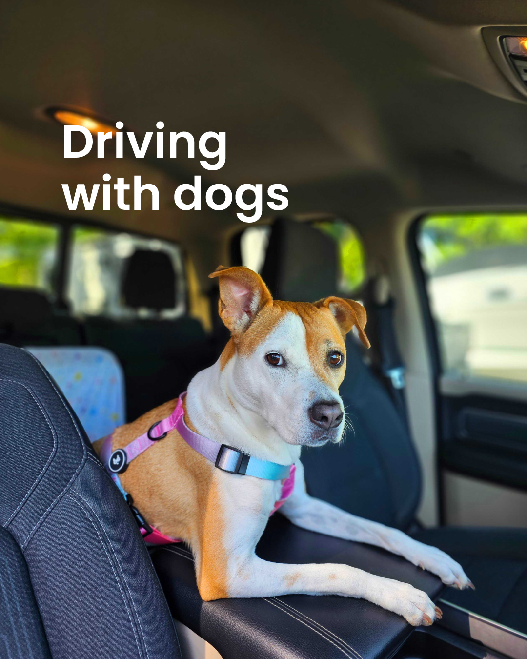 RACV Facebook ad