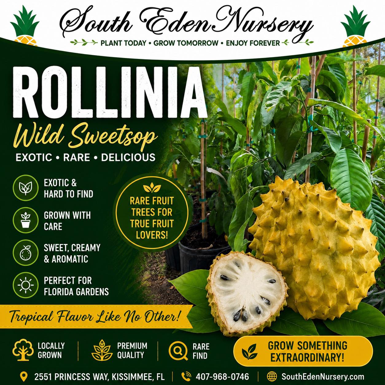 South Eden Edible Nursery Facebook ad: Looking for something beyond the ordinary?
