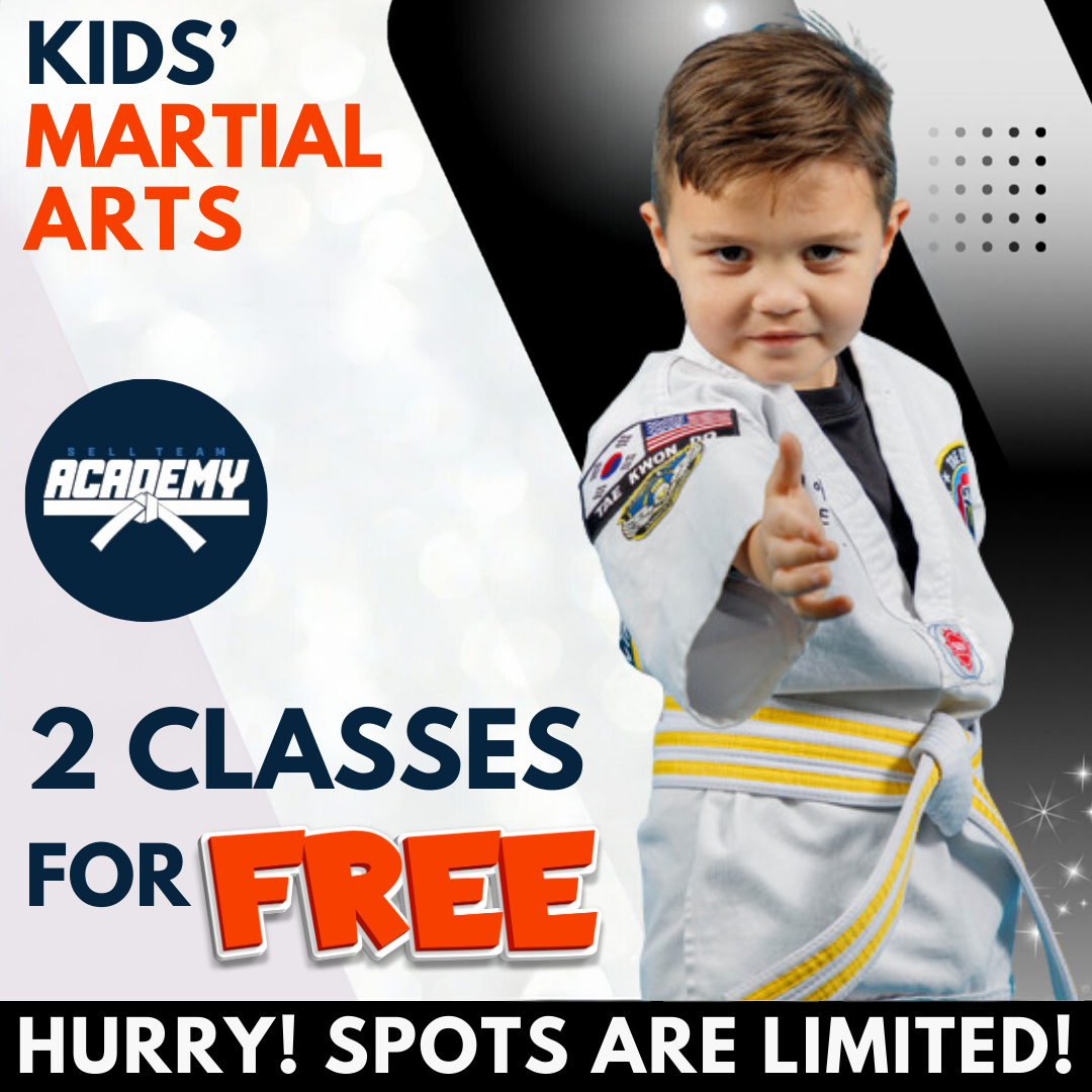 Sell Team Academy of Taekwondo Facebook ad