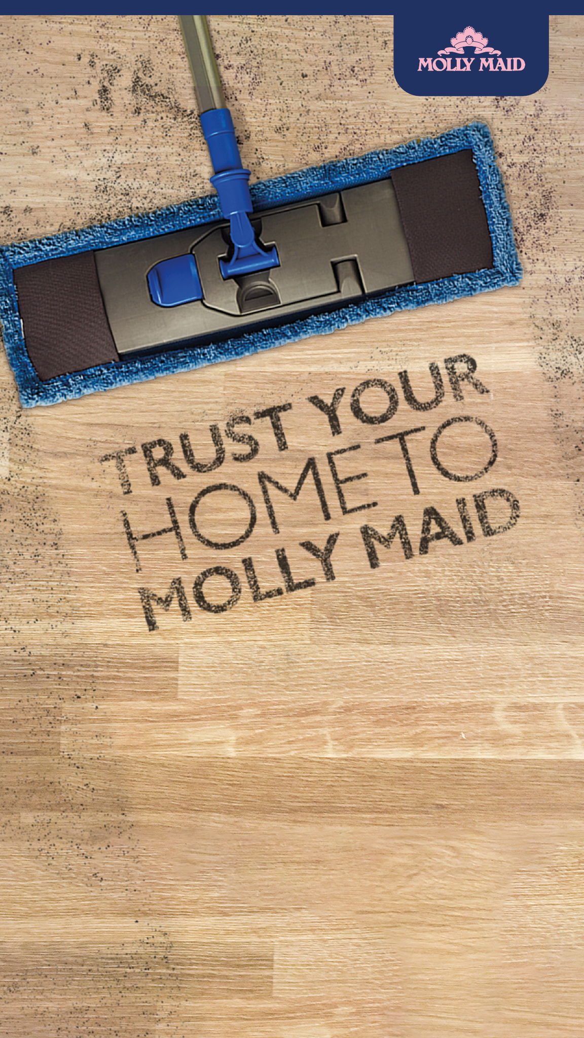 MOLLY MAID UK Facebook ad from Jun 30, 2026