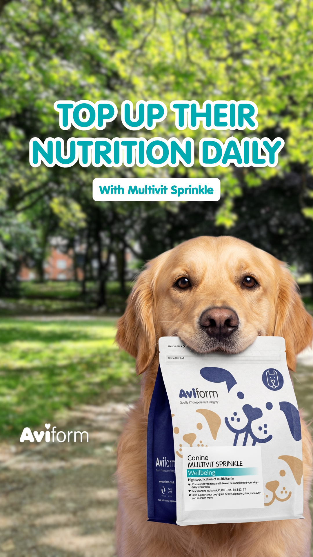 Aviform Nutrition UK - Horse & Dog Facebook ad