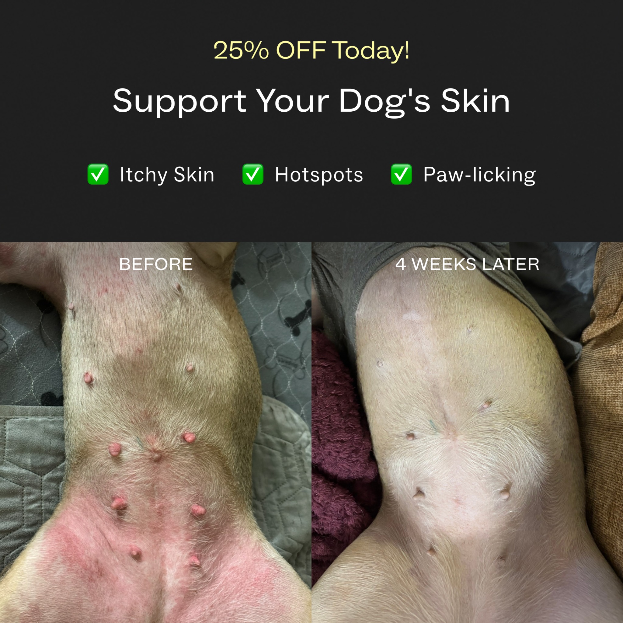 Dog is Human Facebook ad
