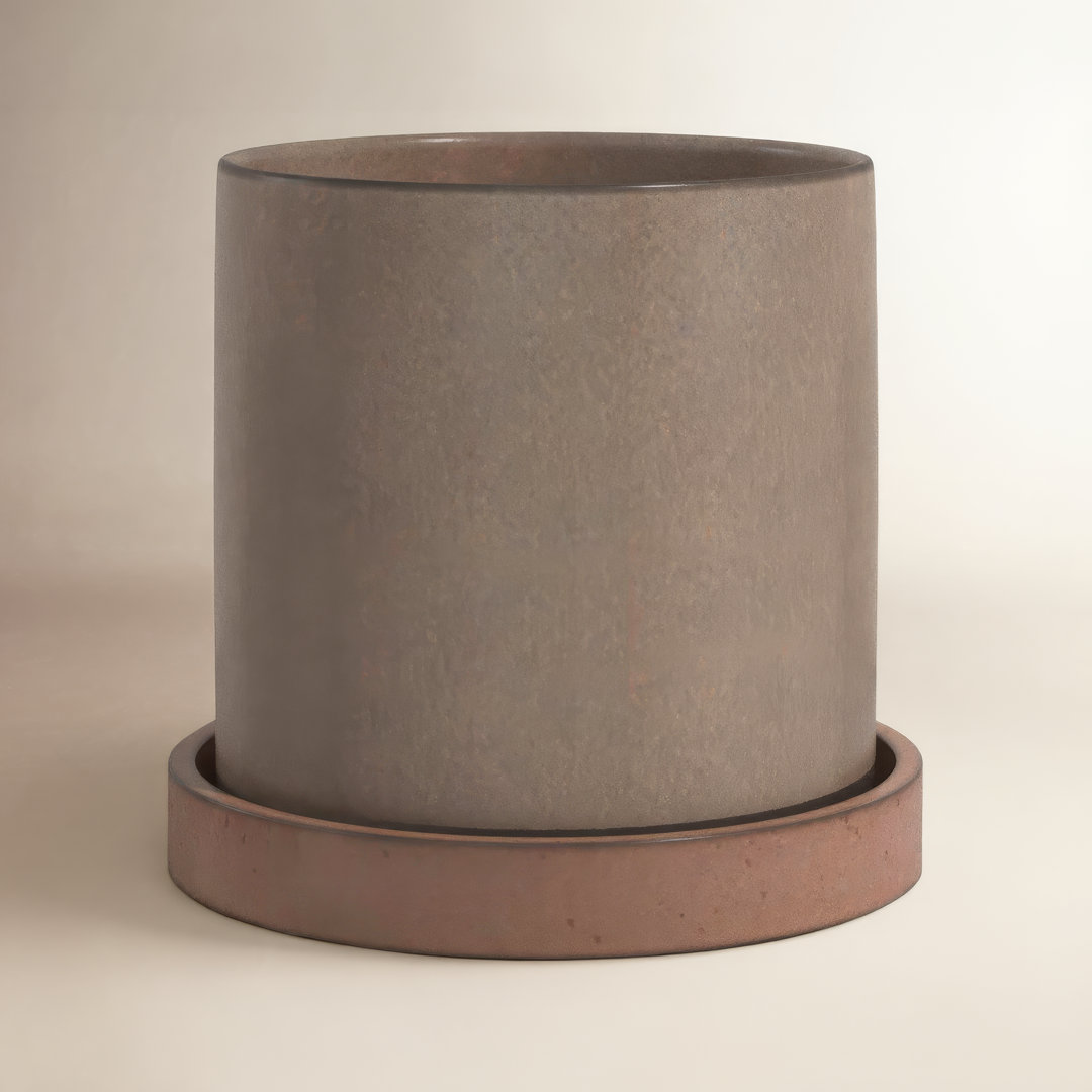 Wayfair Facebook ad: Shop indoor plants & planters everyone is loving