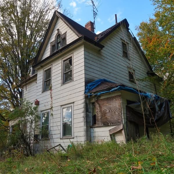 Shop Comfort Facebook ad: Abandoned Houses (Insights)