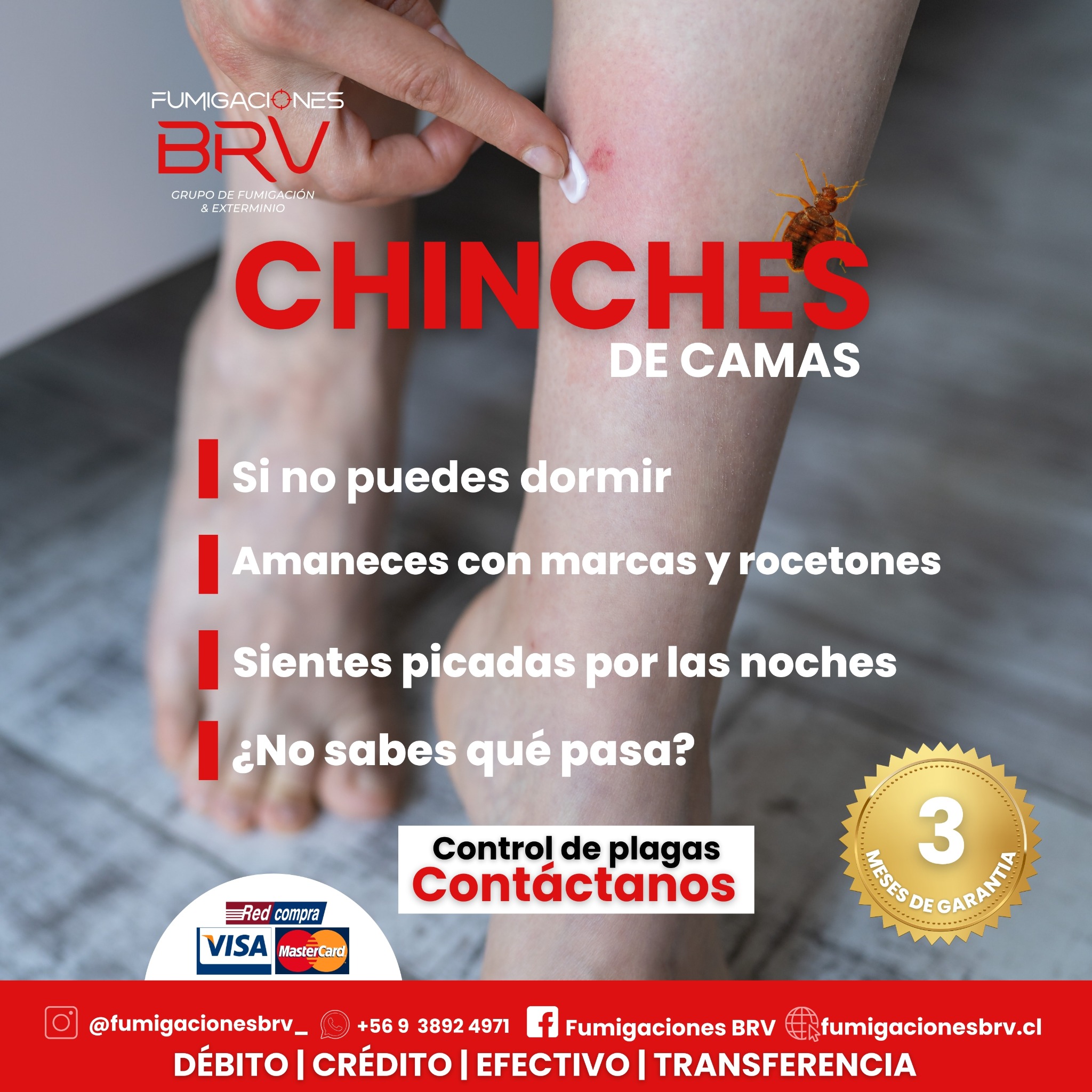 Fumigaciones BRV Facebook ad: ¿Plagas invadiendo tu hogar o negocio?