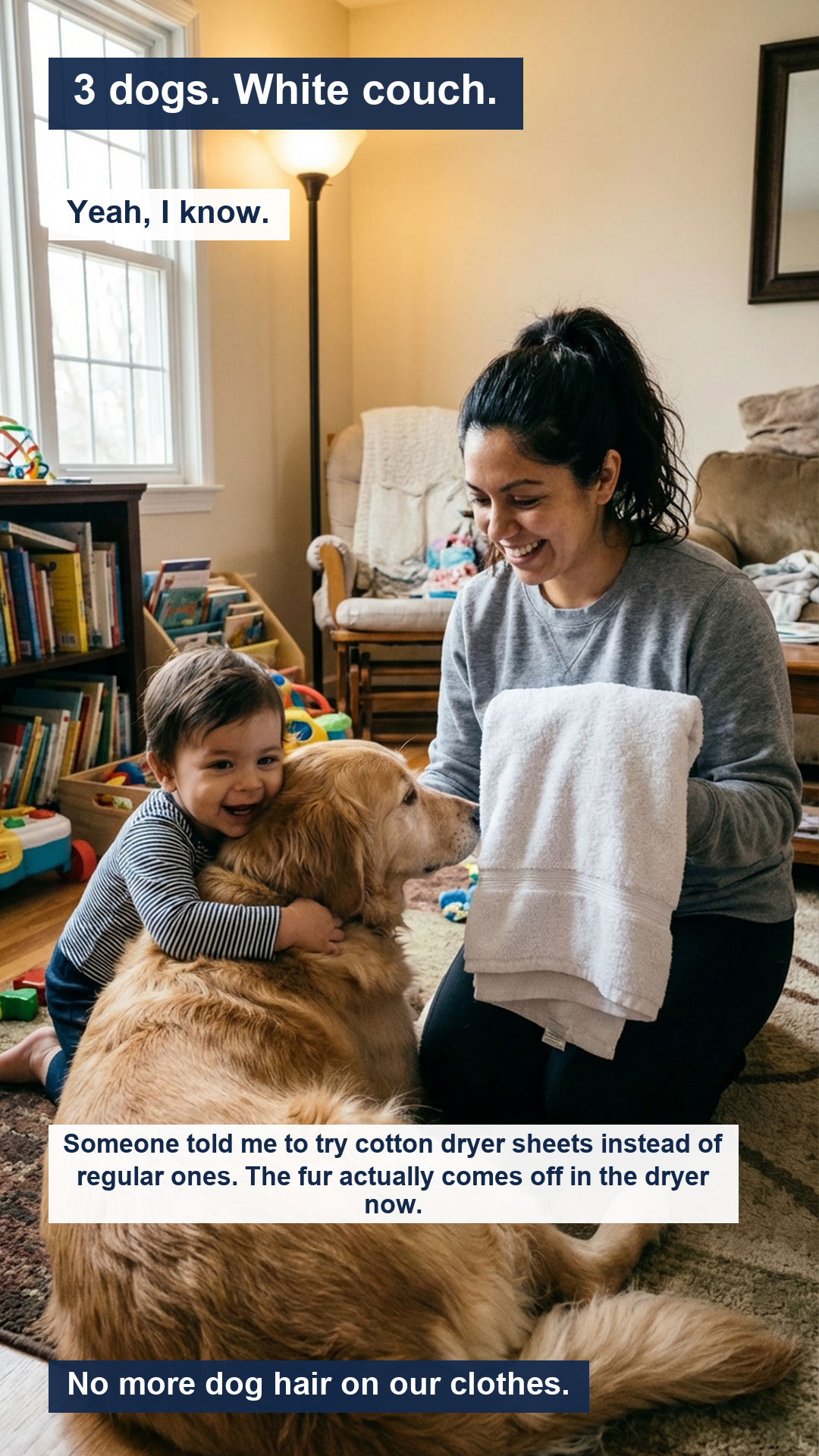 Pet Hair Problems Facebook ad: Dryer sheets