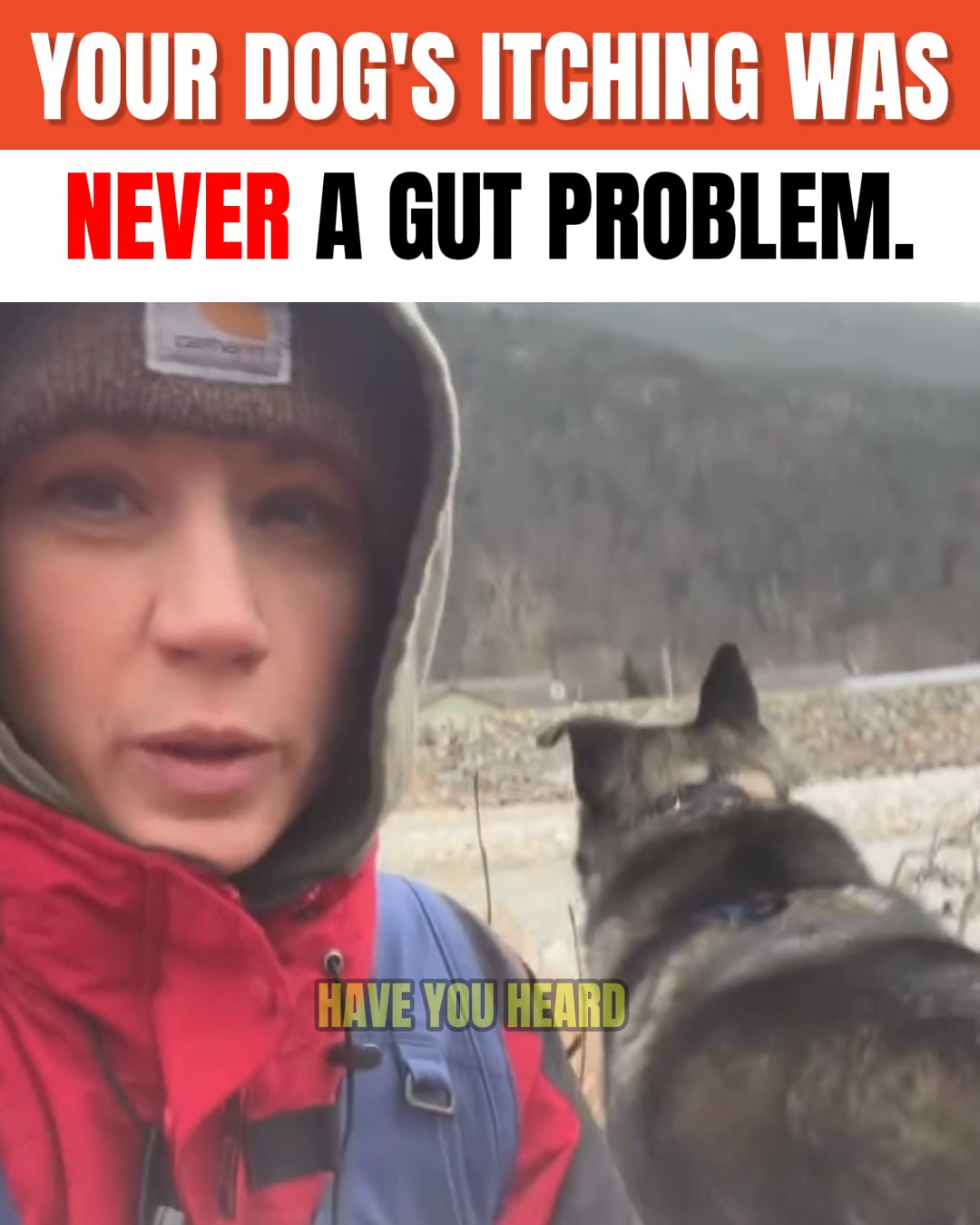 Tratez Facebook ad: probiotics are not the answer