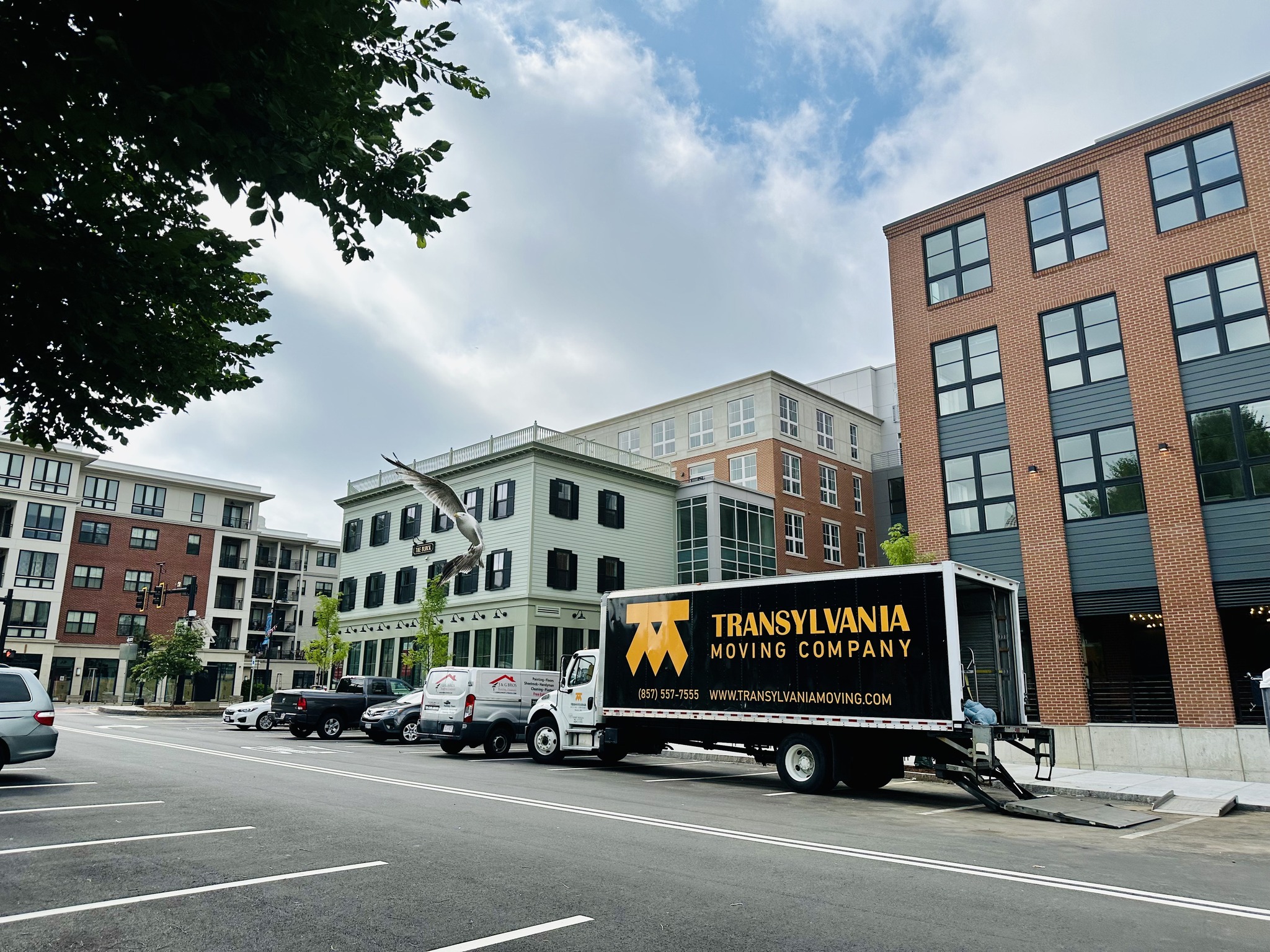 Transylvania Moving Company Facebook ad: The easiest move of your life is one…
