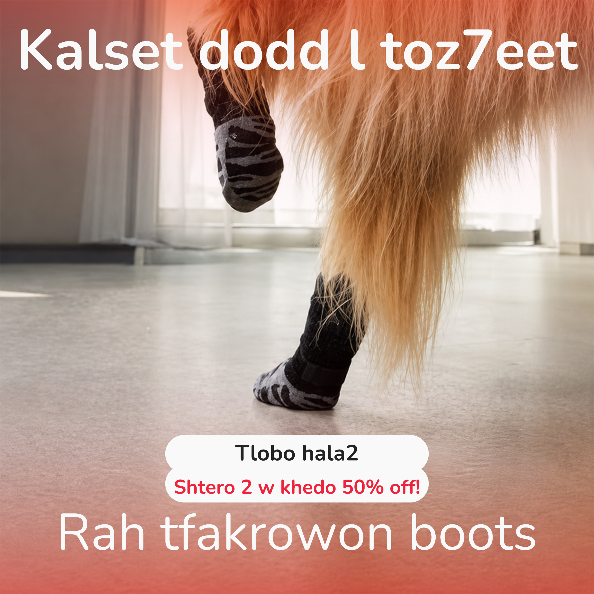 Thepetstop Facebook ad