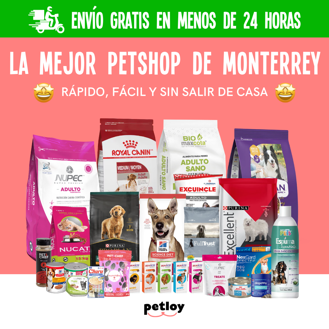 Petloy Monterrey Facebook ad