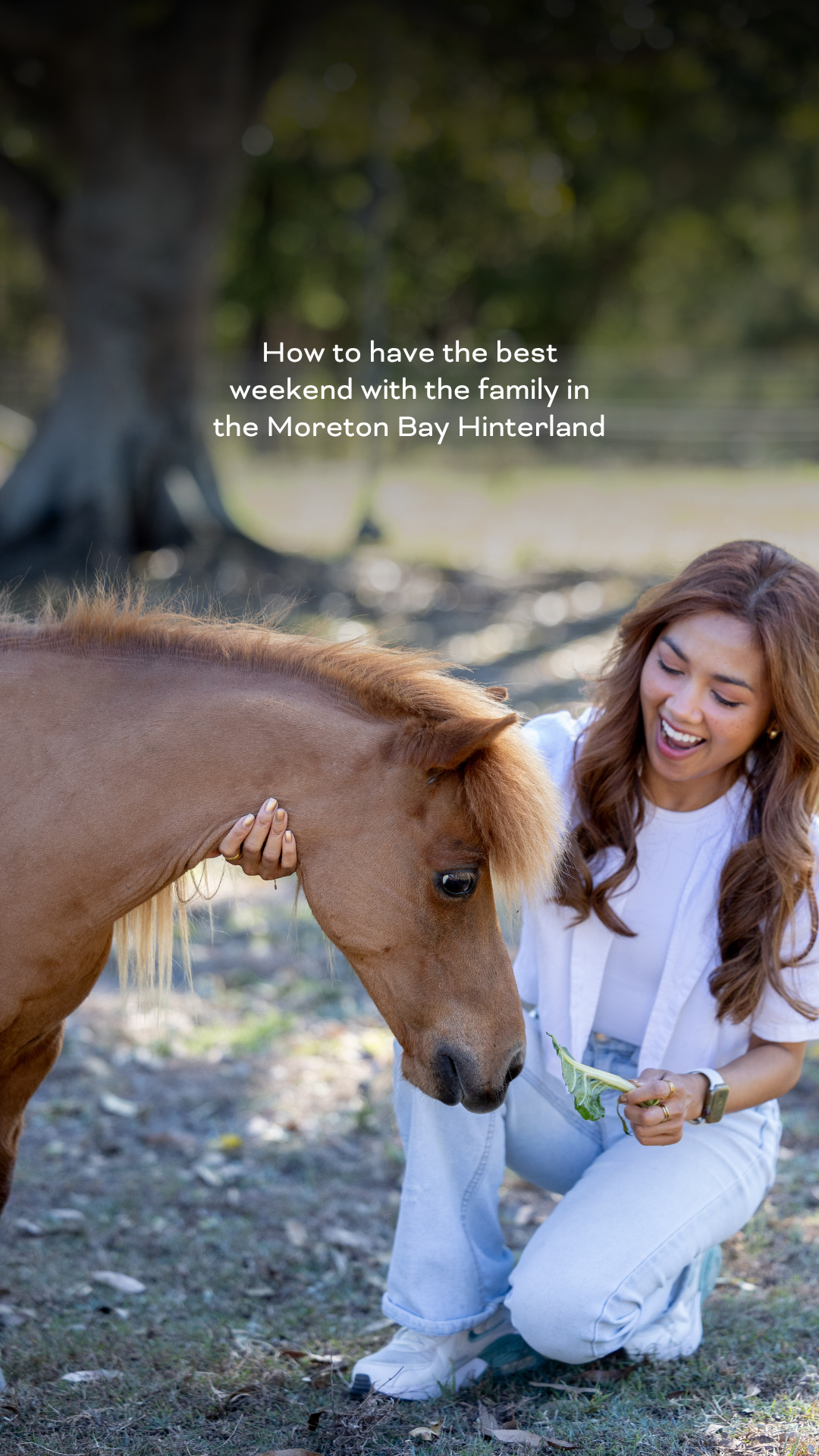 Visit Moreton Bay Facebook ad from Jun 16, 2026