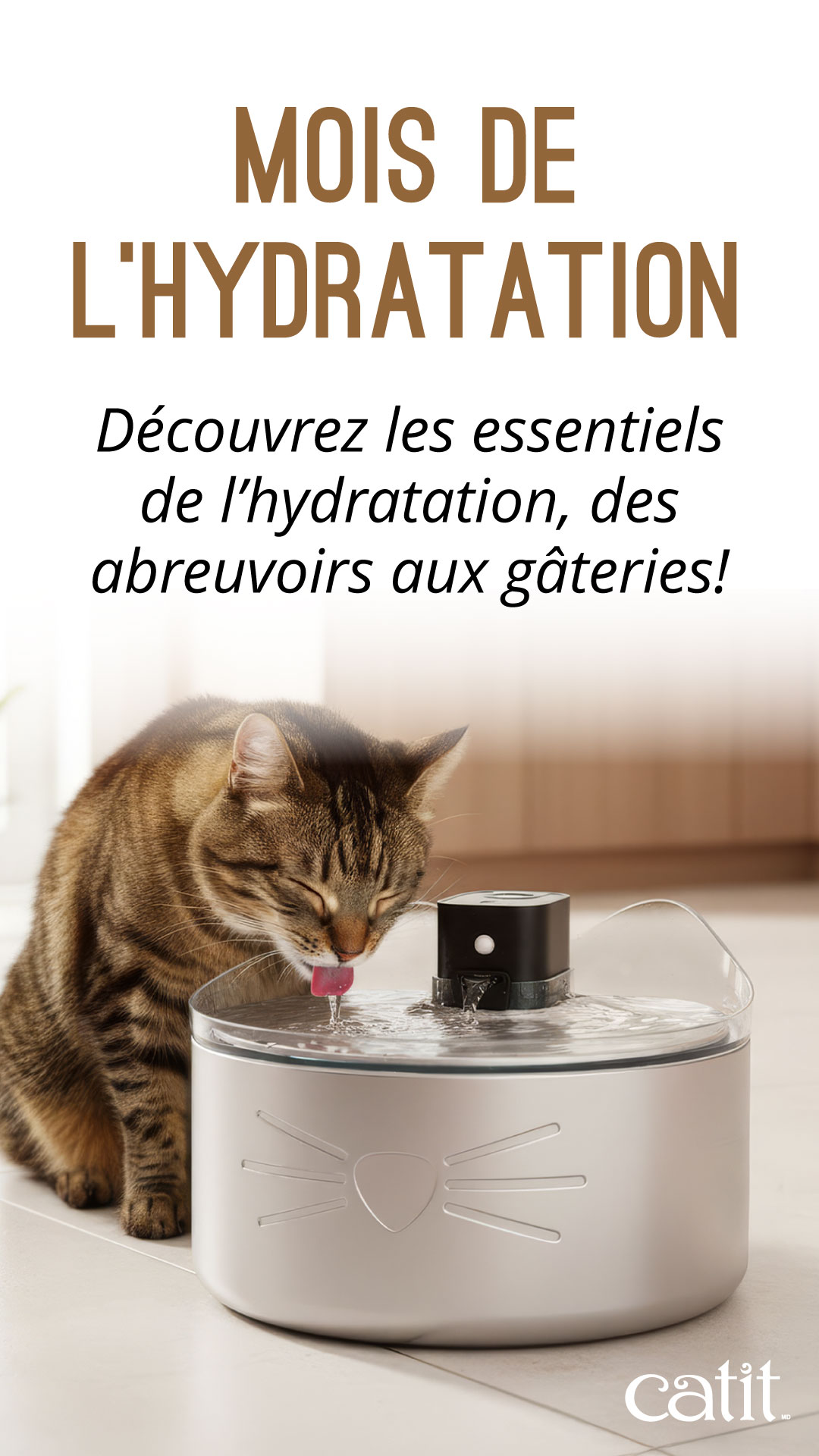 Catit Canada Facebook ad