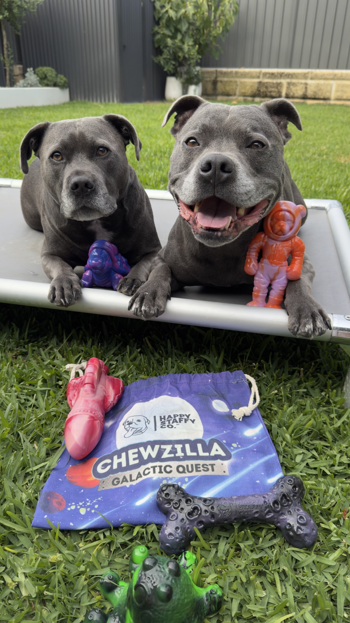 Happy Staffy Co. Facebook ad