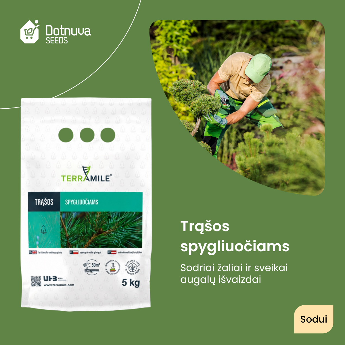Dotnuva Seeds Facebook ad: Metas patręšti spygliuočius