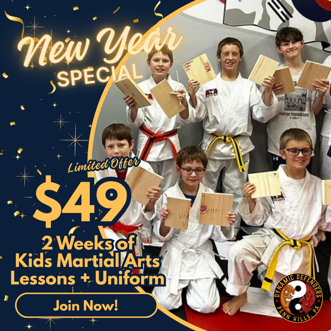 Dynamic Defenders ATA Martial Arts Facebook ad