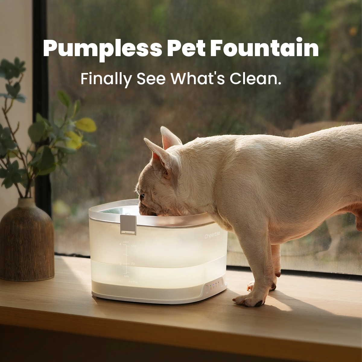 Cheerble Facebook ad: Cheerble Pet Fountain Elfin D1 Pro