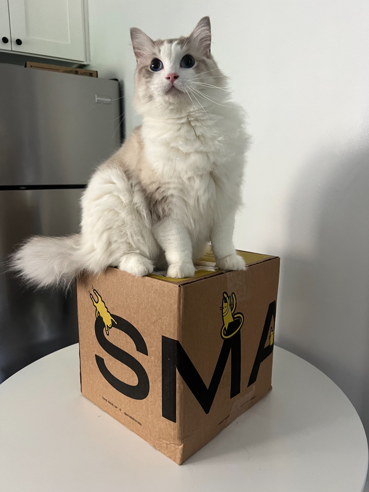 Smalls Facebook ad