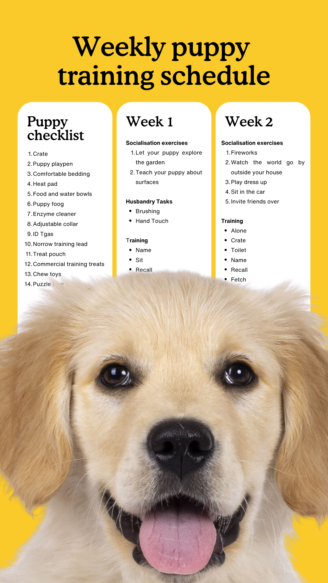 Zigzag Puppy Coach Facebook ad