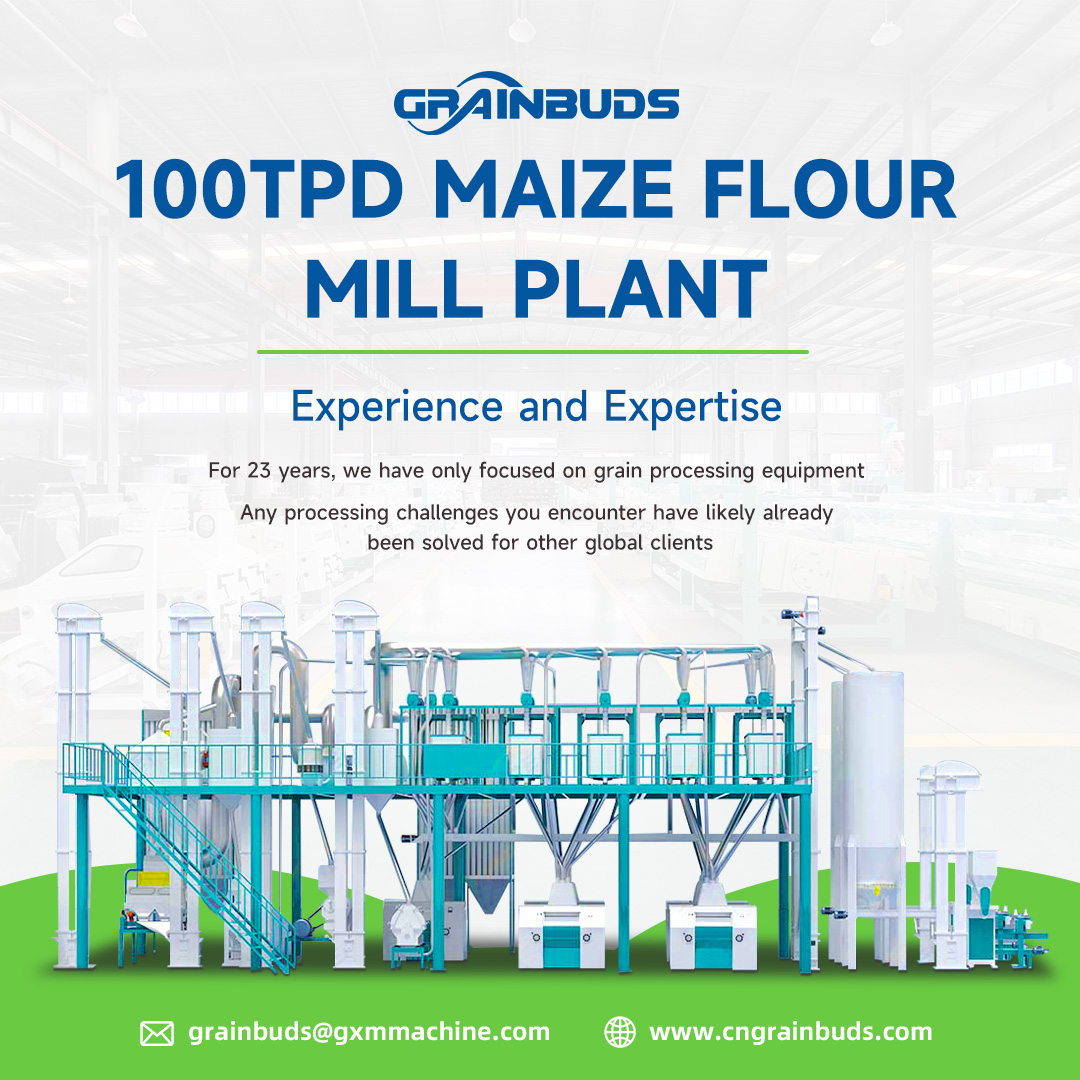 GRAIN BUDS GROUP Facebook ad: Maize Flour Mill Manufacturer