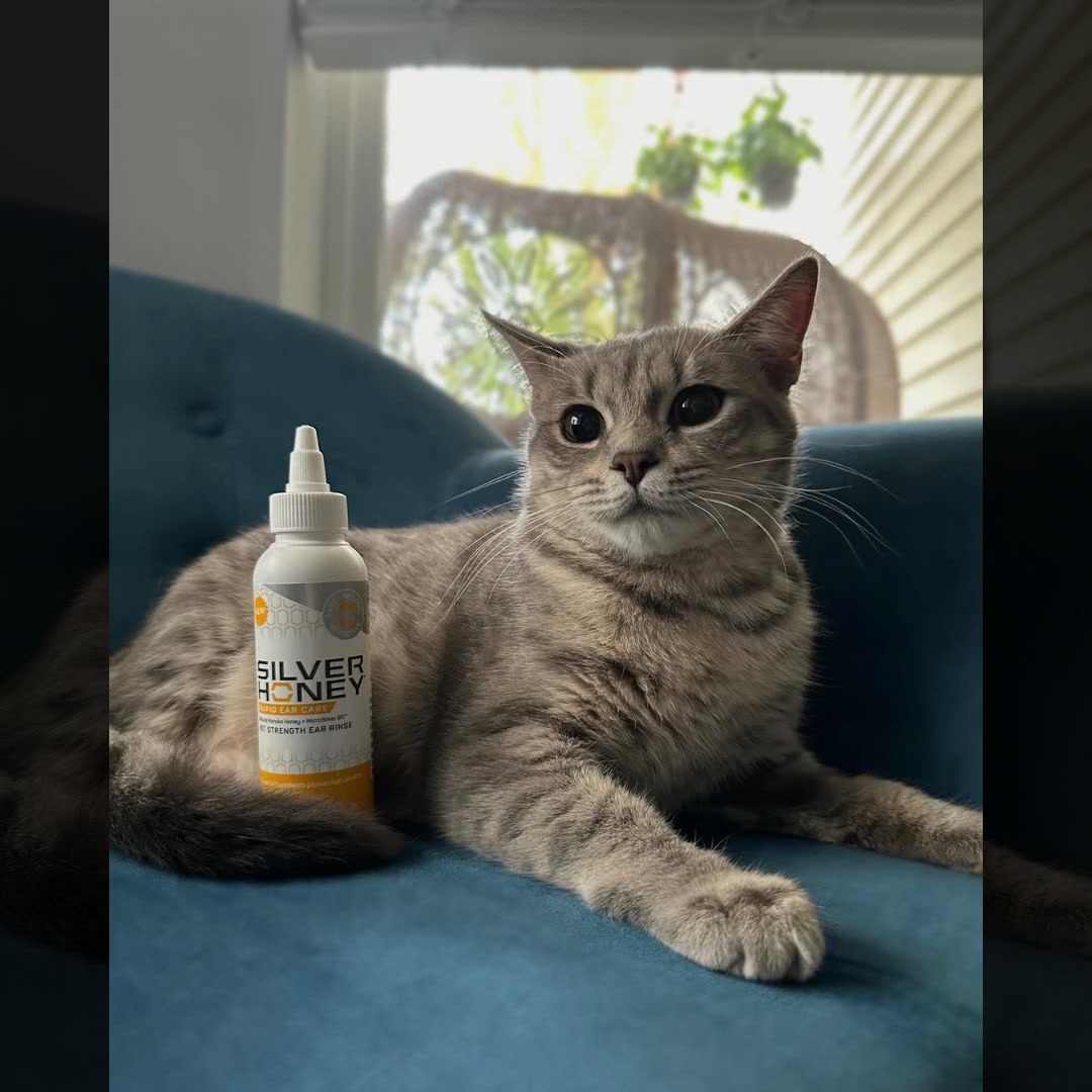 Silver Honey Facebook ad: Rapid Healing For Pets