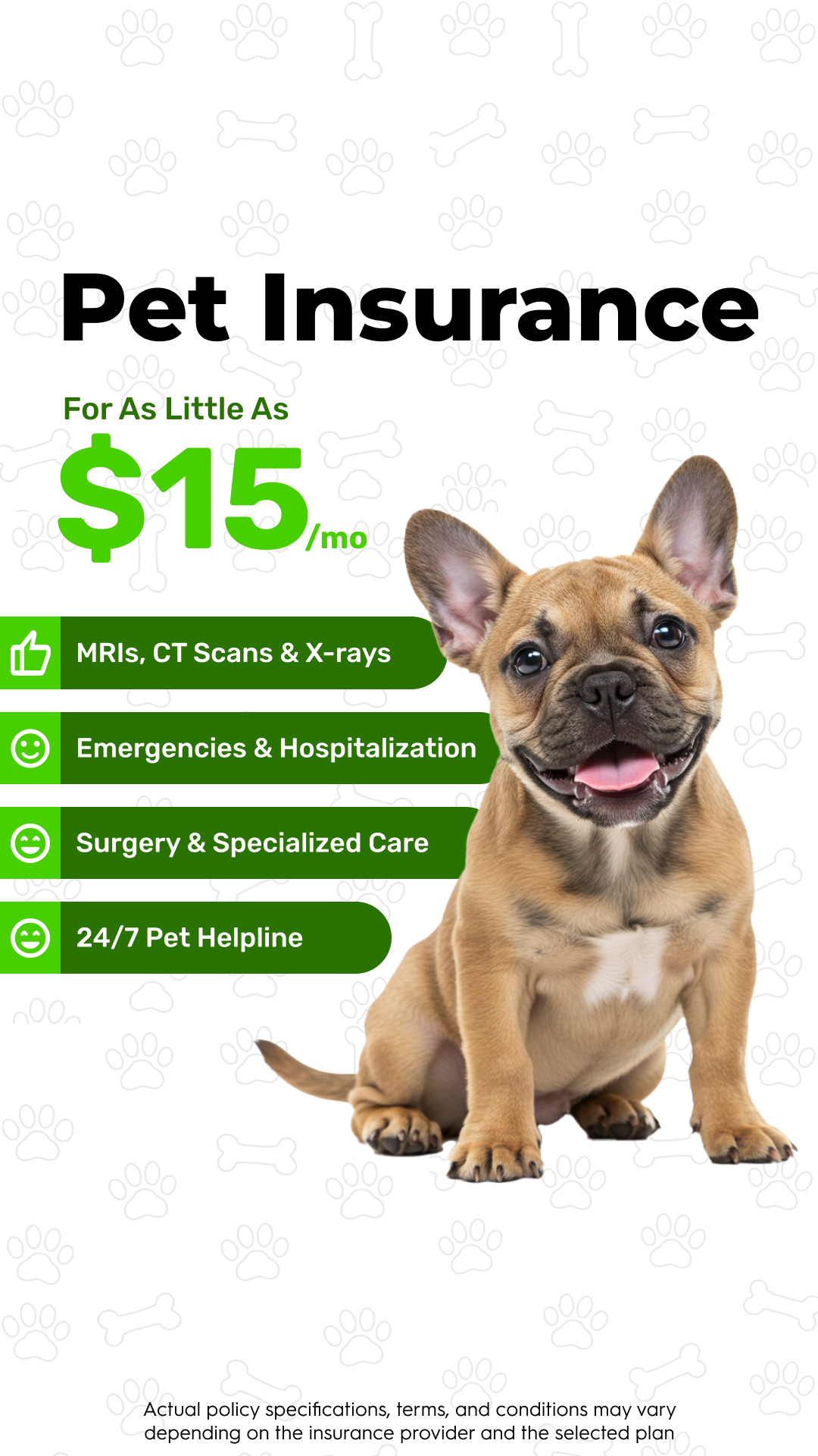 BestMoney Pet Insurance Facebook ad